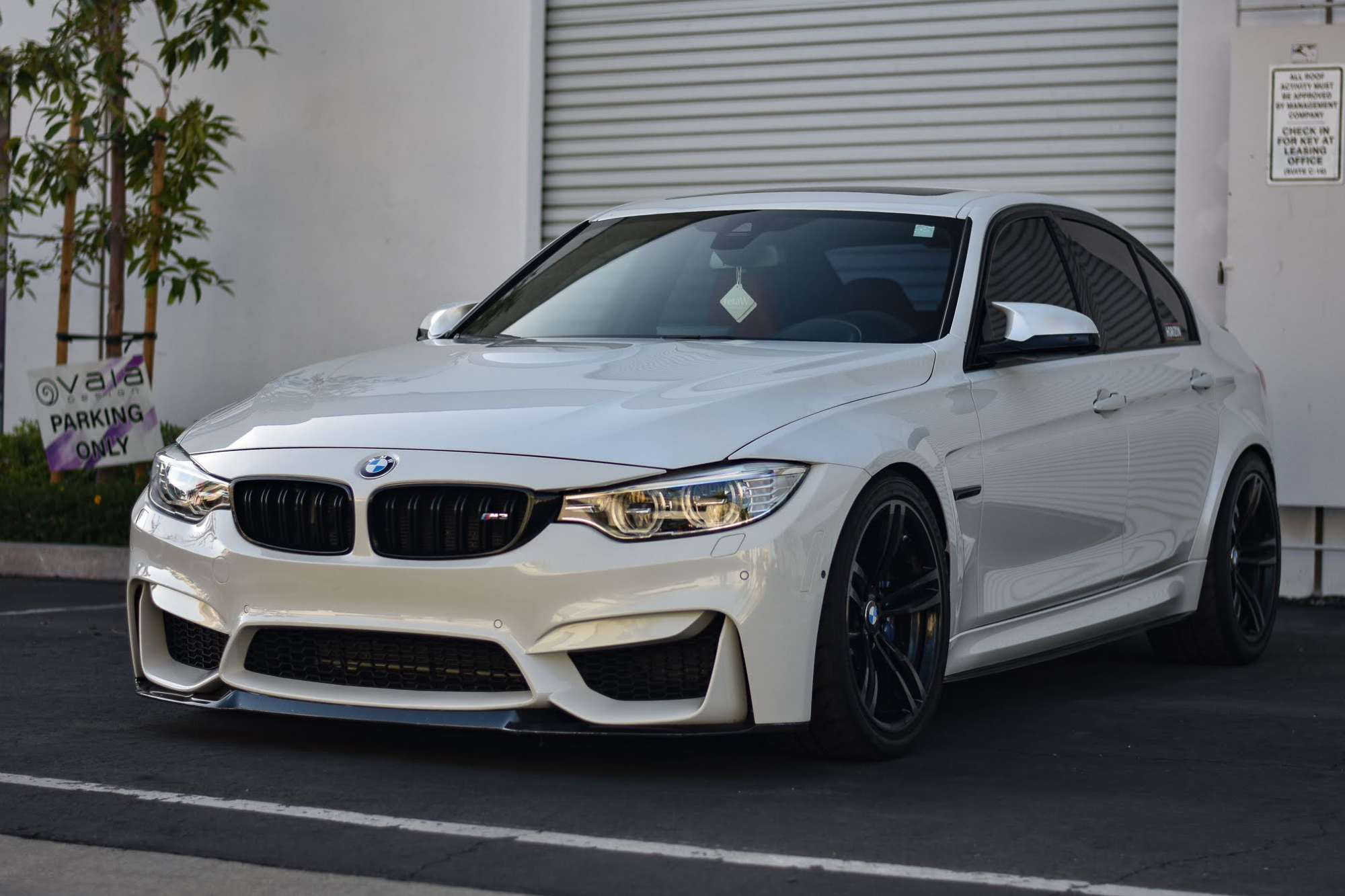 paint protection film