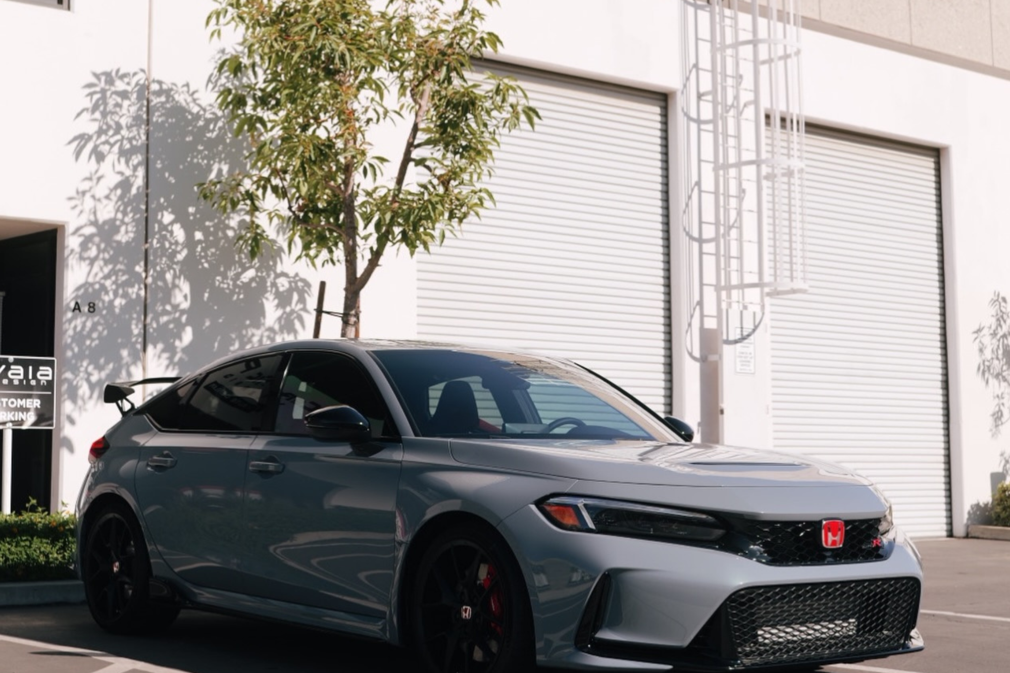 paint protection film